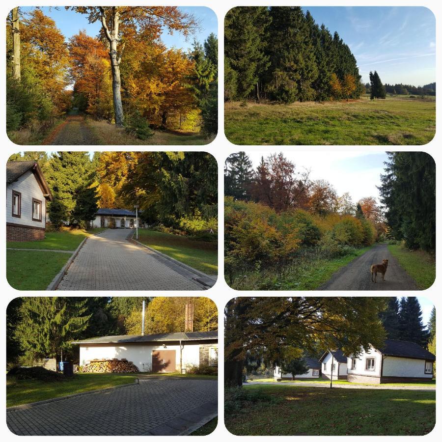 Ferienpark Ebertswiese Villa Seligenthal Exterior photo